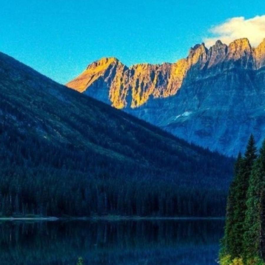 THE BOW AND THE LOVE OF GOD