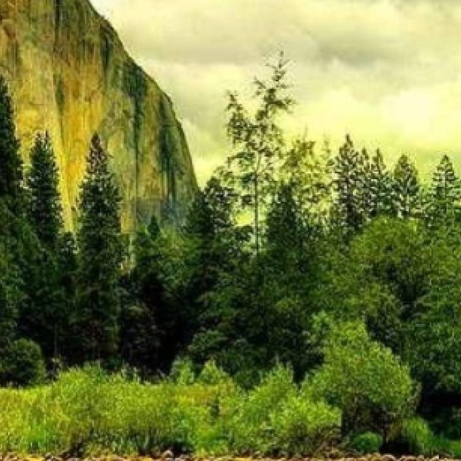  GOD'S PERFECT PEACE
