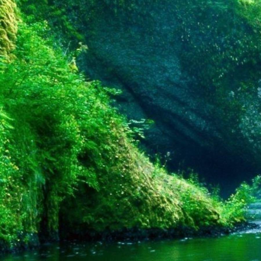 THE FULLNESS OF THE SPIRIT